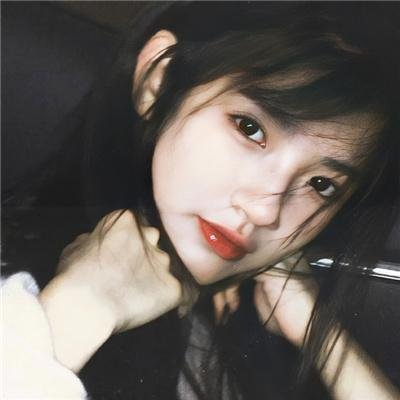 万紫千红花弄蝶
